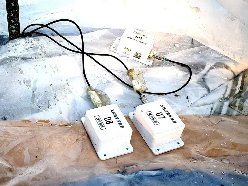 温湿度传感器